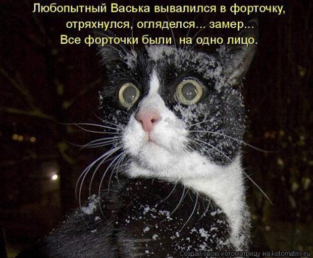 image (450x371, 156Kb)
