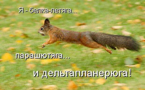 Котоматрица 9