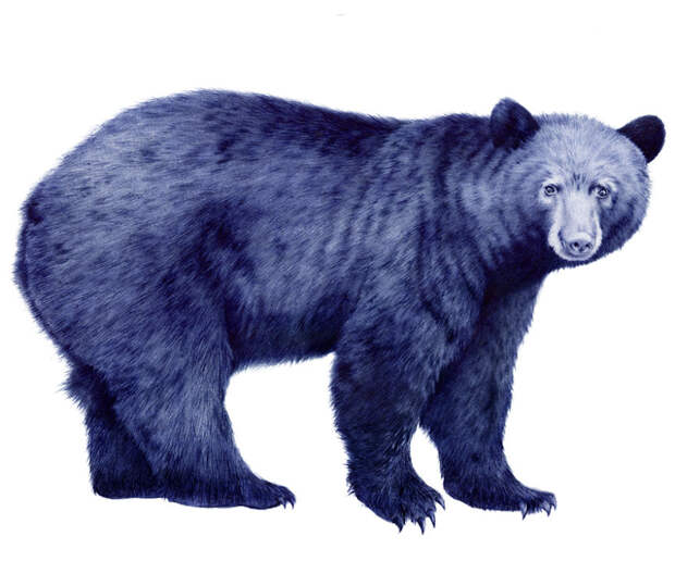 Самые крутые картины, нарисованные шариковыми ручками - 10