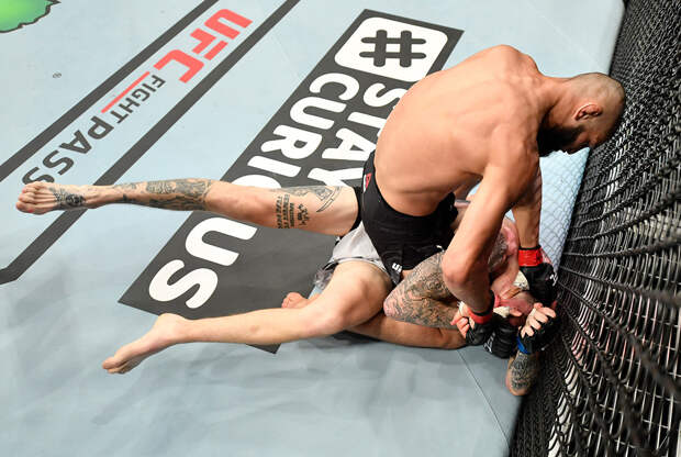 Что известно о новой звезде UFC из России Хамзате Чимаеве