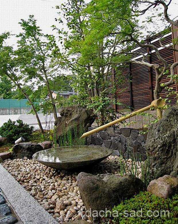 японский сад на даче фото (2)