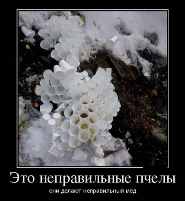 Демотиваторы, прикольно люди живут.  