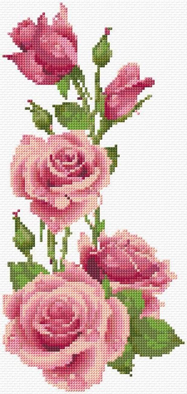 Embroidery Kit 2421