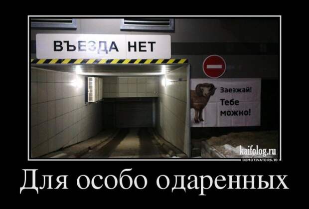 Демотиваторы - 246 (50 демотиваторов)