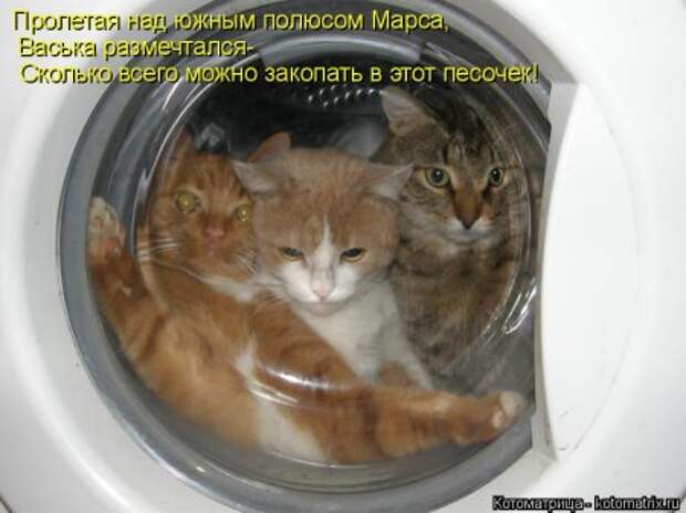 Котоматрицы, любовь через кота.