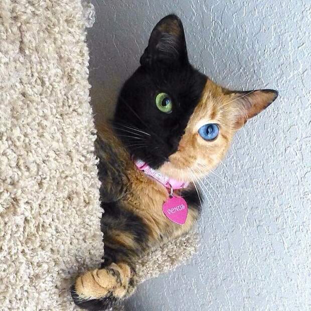 18. 