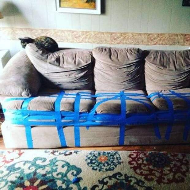Юмор в фотографиях Юмор в фотографиях