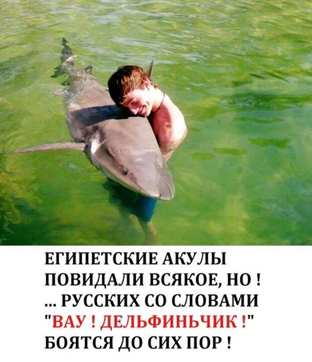 Russian Sharking