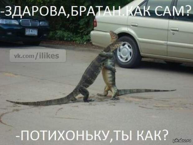 Всяко - разно 12 )))