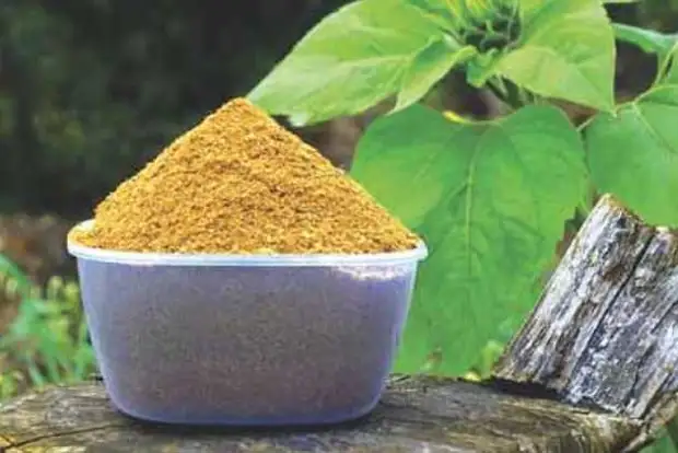 ������� ����