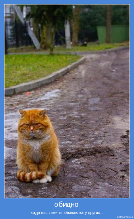 Картинки на голубом фоне.