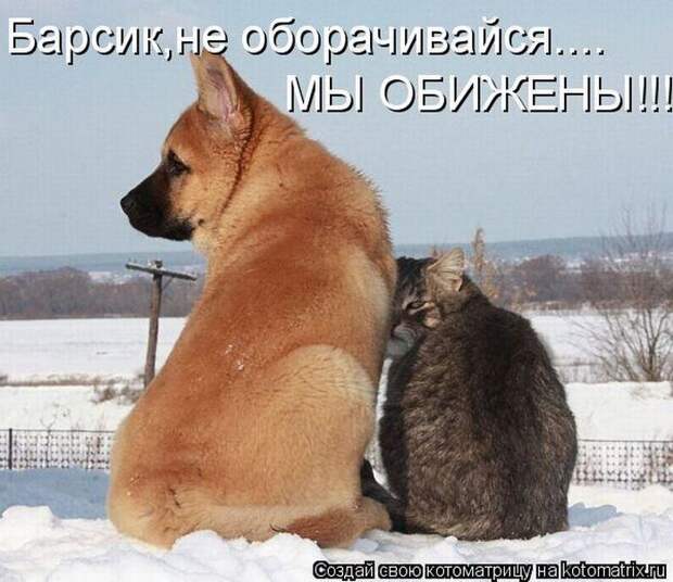 Давайте улыбаться вместе :)