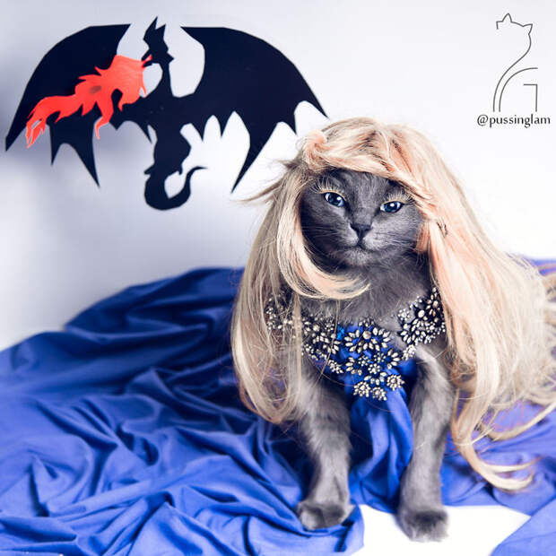 Кхалиси, мать драконов  история, кошка, модница