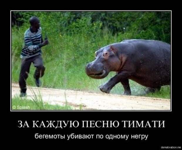 Классные картинки, собраные в демотиваторы!