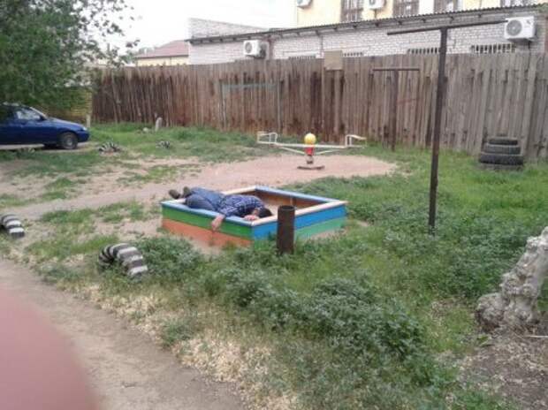 В мире так много фото приколов.