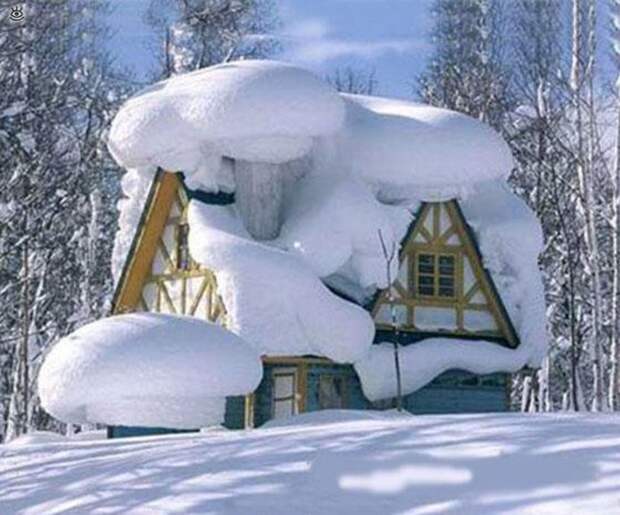 Казусы, возможные только зимой 27