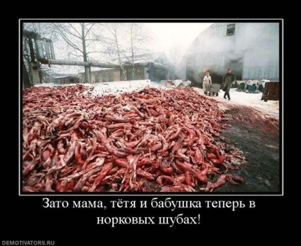 Деотиваторы серьезные про жизнь со смыслом.