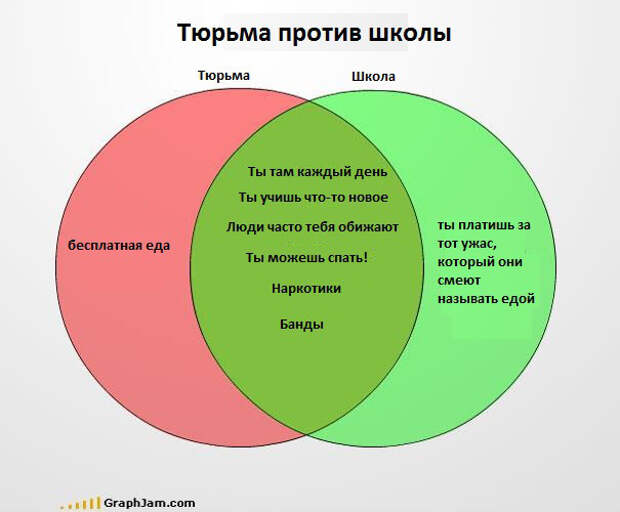 Забавные графики (10)