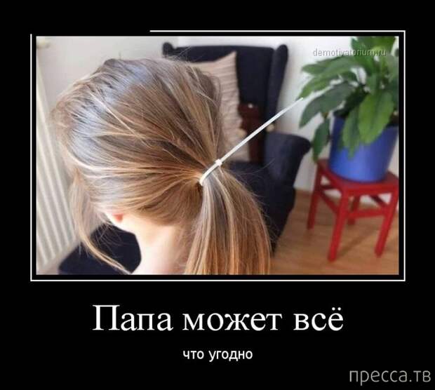 Демотиваторы (30 фото)