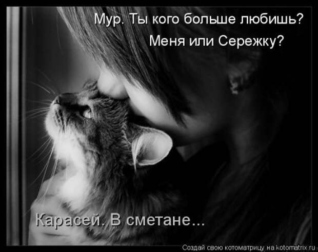 Лучшая котоматрица недели (30 фото)