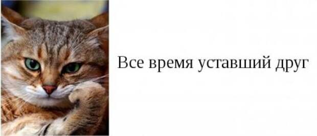 Такие друзья, есть у каждого из вас.