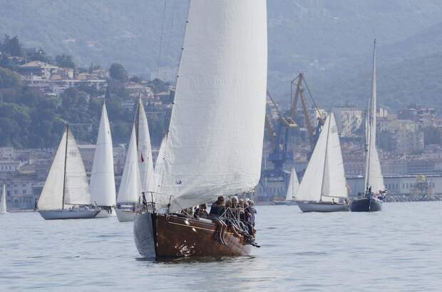 BARCOLANA 2014, Барколана, регата, яхты, море