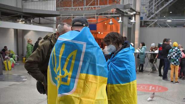 МВД Германии отказалось спасать украинцев от призыва в ВСУ