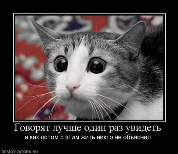Подборка новых демотиваторов)