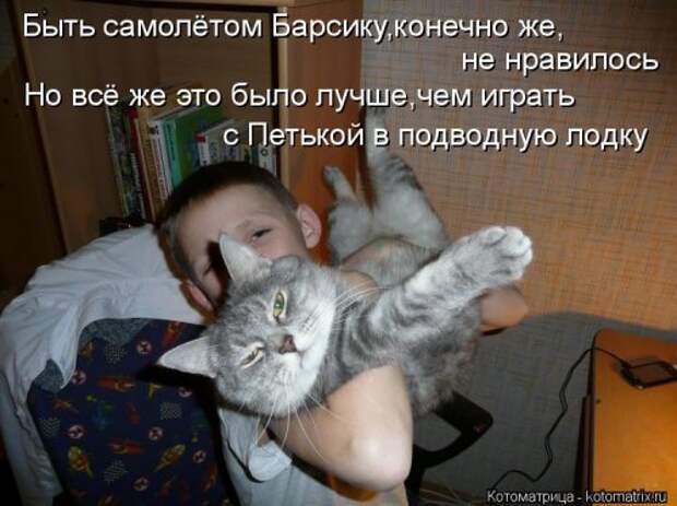 Свежая прикольная котоматрица (34 фото)