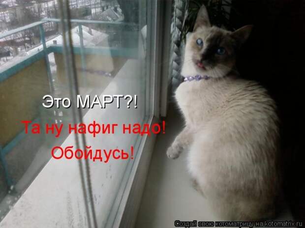 Мысли вслух :)