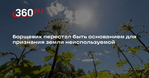 Борщевик перестал быть основанием для признания земли неиспользуемой