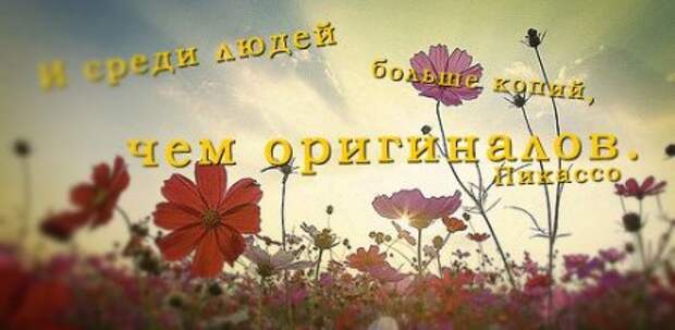 Цитаты о жизни (21 картинка)
