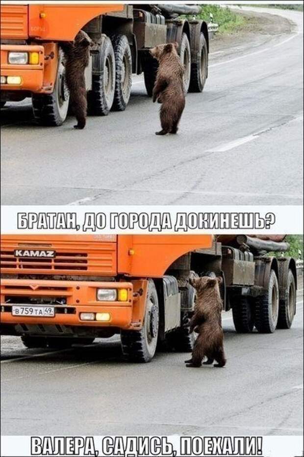 АВТОприколы на Бугаге (21 шт)