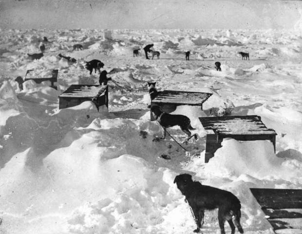 1914-1916 годы: «Эндьюранс» или история выживания 28 человек среди льдов Антарктики 1914-1916 годы: «Эндьюранс» или история выживания 28 человек среди льдов Антарктики