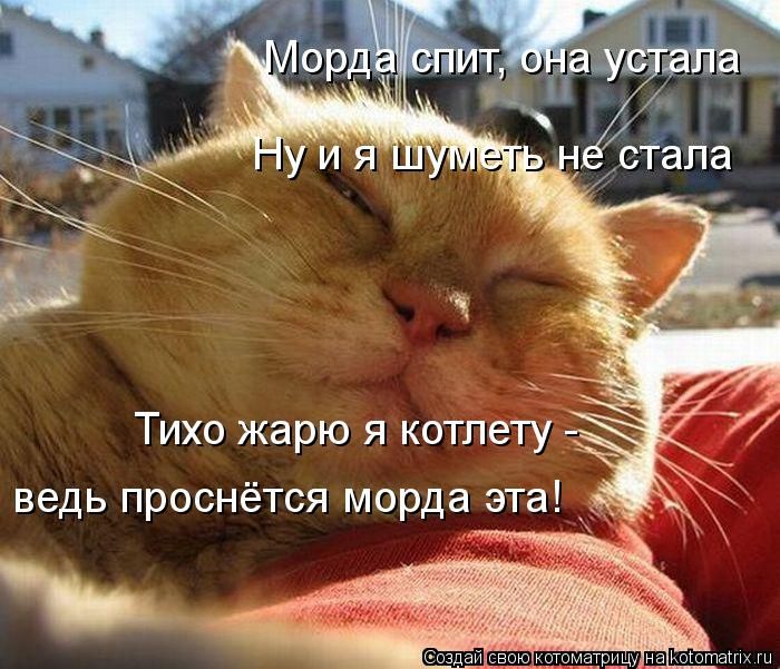 Лучшие котоматрицы недели (50 фото) Лучшие котоматрицы недели (50 фото)