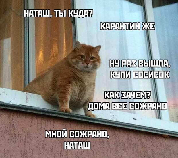 www.vsyako.net