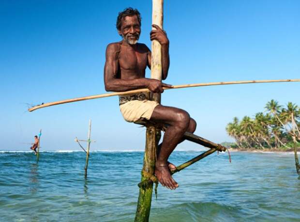 Рыбалка на сваях Шри-Ланка Это сравнительно молодая традиция. Местные жители начали практиковать подобную рыбалку во время Второй мировой войны. Тогда шриланкийцы использовали обломки самолетов и кораблей, чтобы поймать рыбу. Рыбаки сидели на специальных сваях, что позволяло им получать больший улов. К сожалению, цунами 2004 года изменило линию берега и теперь традиция умирает — просто ловить стало неудобно.