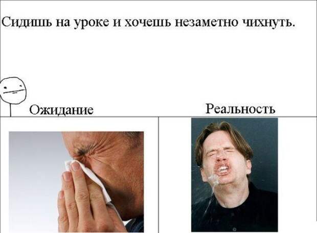 Ожидание и реальность Ожидание и реальность ожидание, реальность, фото, юмор
