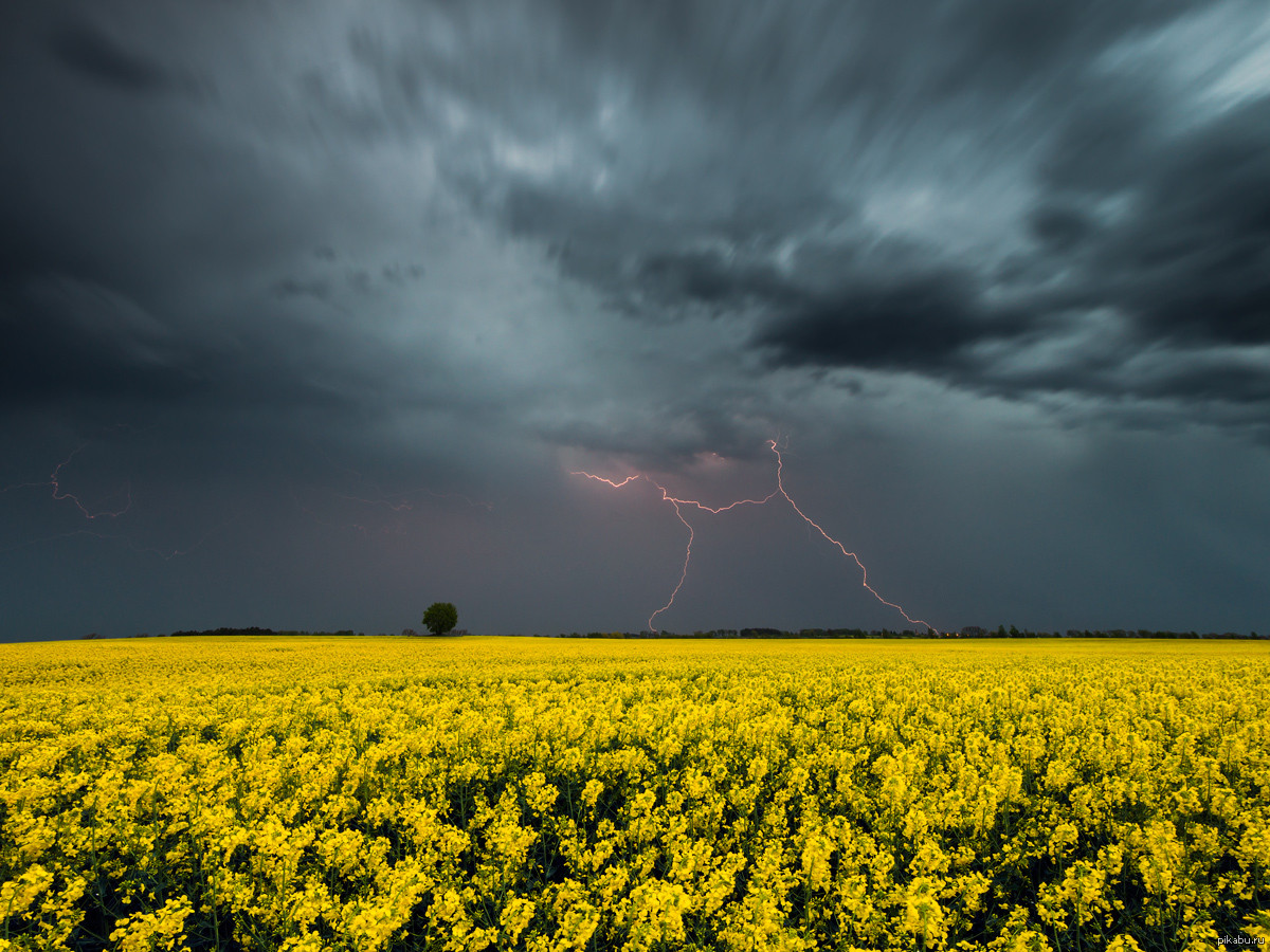 Впечатляющие фотографии грозы Впечатляющие фотографии грозы весна, гроза, фото