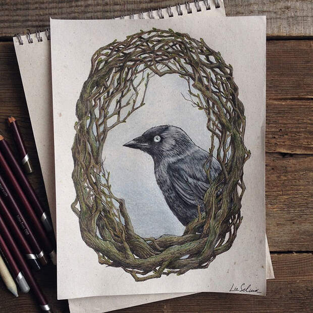 fairytale-illustrations-color-pencil-lia-selina-7