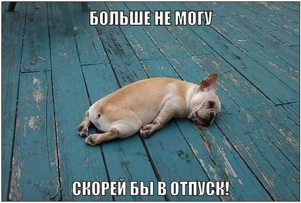Паранормальных пикч