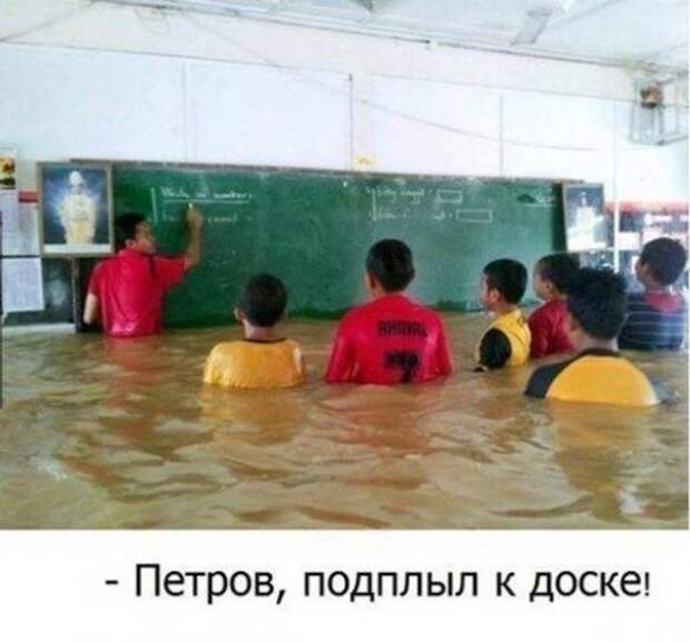 Смешная галерея фотоприколов  #76