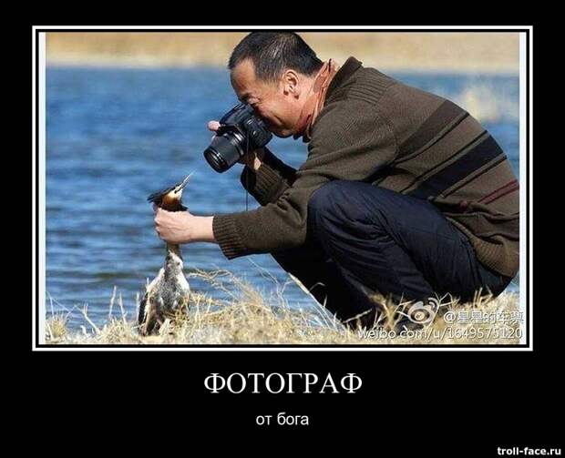 Демотиваторы демотиваторы, позитив