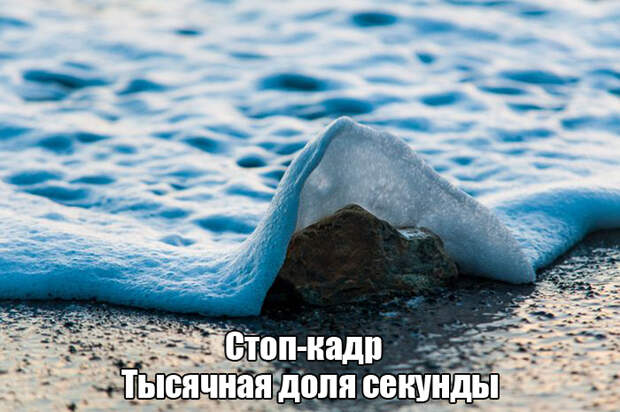 Подборка прикольных фото №1273 (103 фото)