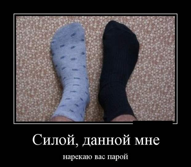 Новые весёлые демотиваторы Новые весёлые демотиваторы