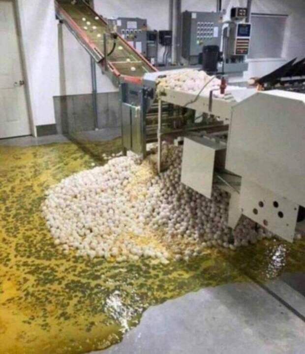 Неприятности случаются