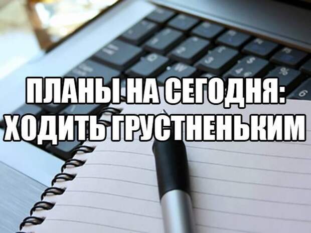 Картинки со смешными подписями