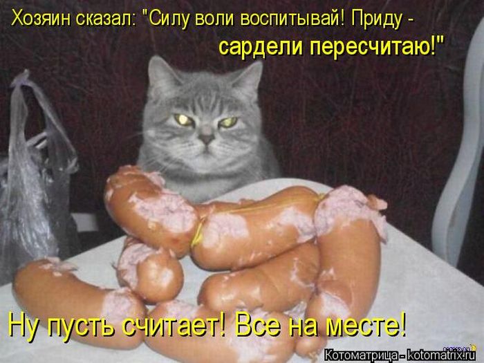 Лучшие котоматрицы недели (50 фото) Лучшие котоматрицы недели (50 фото)