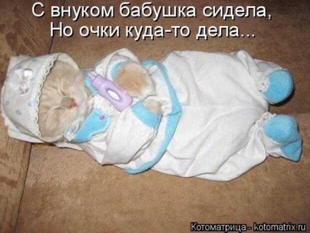 Новая котоматрица для хорошего настроения (33 фото)