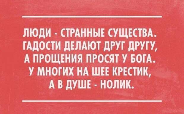 открытки с отборным юмором (6)